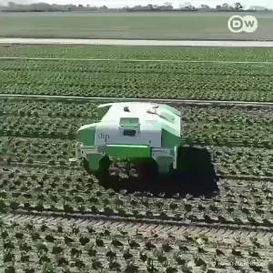 نقش تجهیزات رباتیک در اینده کشاورزی